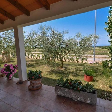 Ferienwohnung Angela Novigrad Istria Exterior foto