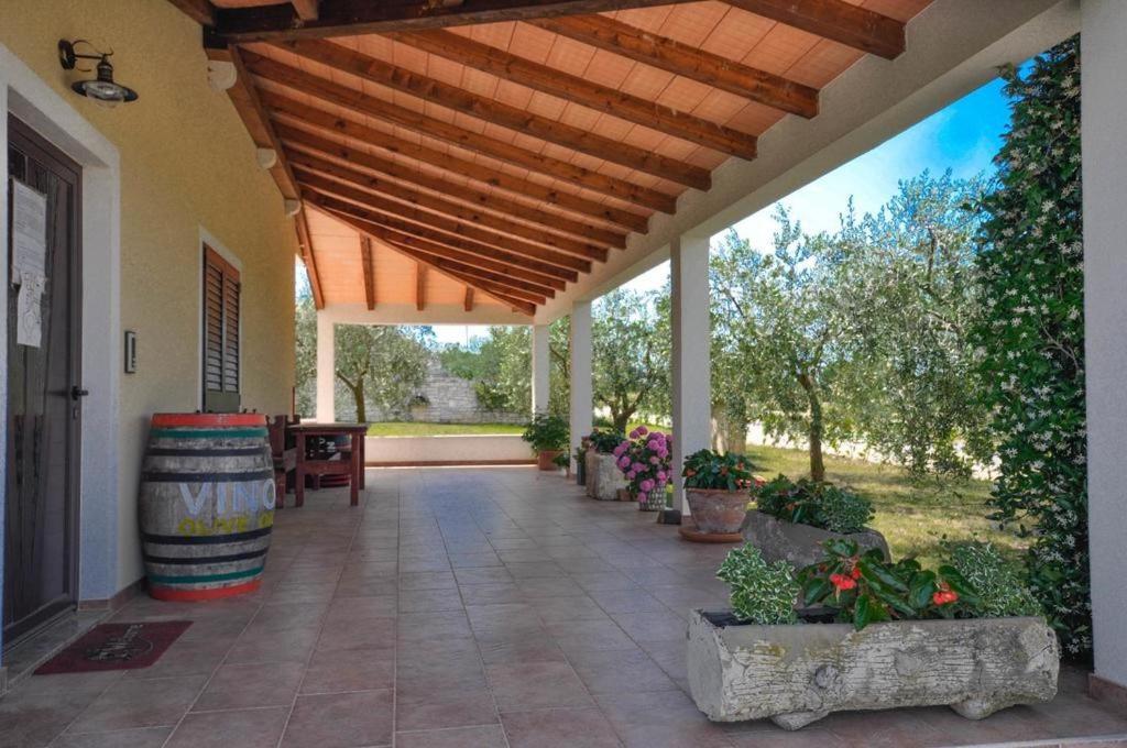 Ferienwohnung Angela Novigrad Istria Exterior foto